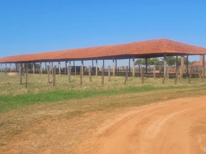 Confinamento Completo Para Engorda De Gados