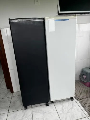 Vendo geladeira 240L e Freezer 189L juntos 