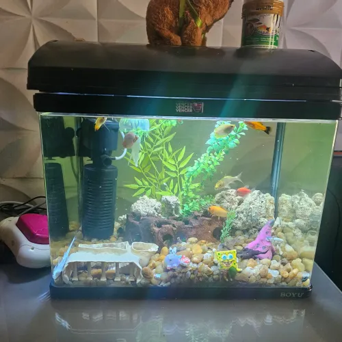 Aquário Boyu Mr-418 Preto Filtragem E Iluminação 37 L 110v