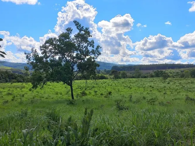 Mega Fazenda em Minas Gerais 2.295 hectares