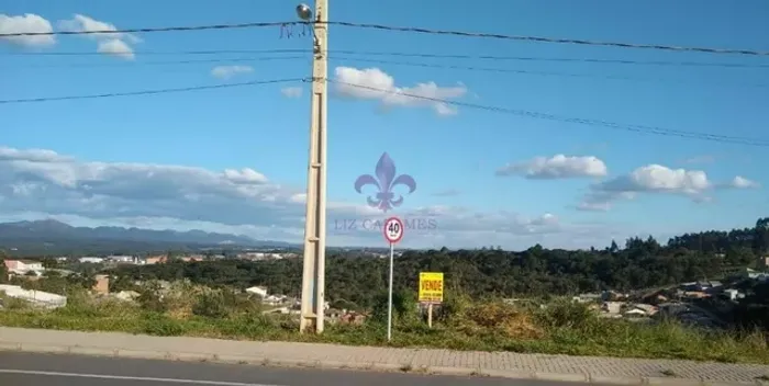 Terrenos com frente pra Avenida Principal do Alto Araçatuba em Campina Grande do Sul