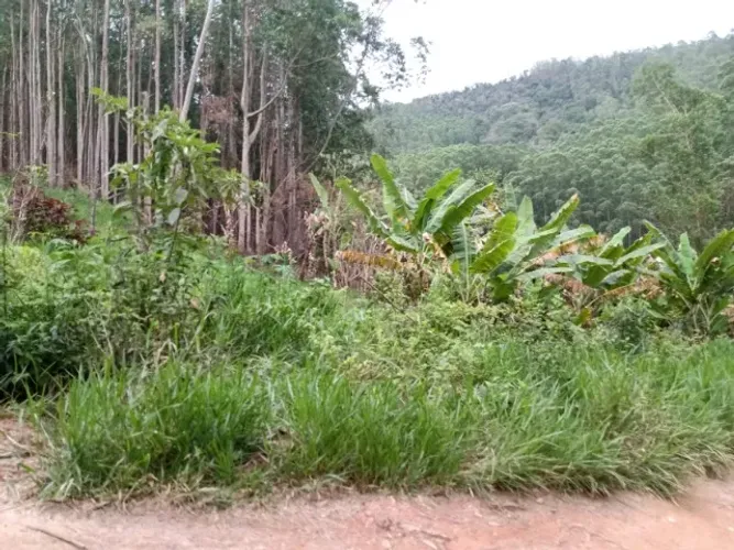 Sítio de 8,5 alqueires em Paraibuna - SP