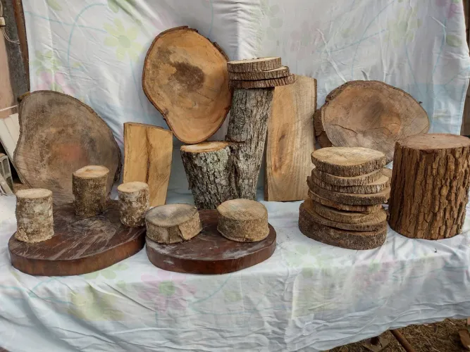 Conjunto de peças de madeira para decoração