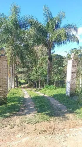 Chácara /Roça Velha SJP