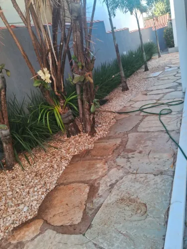 Jardinagem  em geral