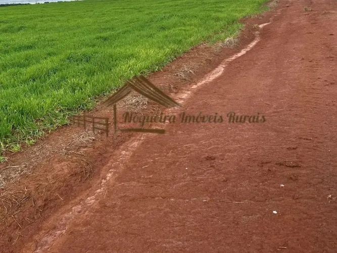 Fazenda com 48 alqueires na região de Avaré-SP