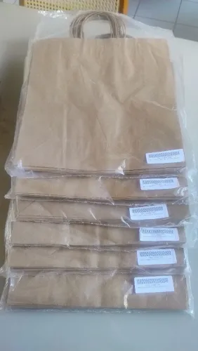 06 Pacotes de 10 unidades de Sacola Kraft 80g 31x33x12,5 cm