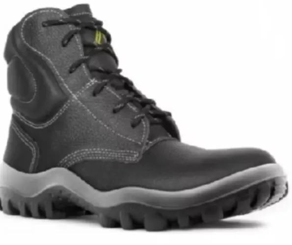 Bota