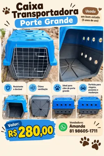 Caixa transportadora porte grande