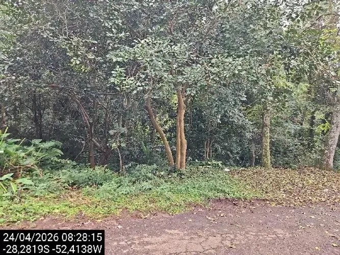 Ótima oportunidade Terreno no Vila Luiza, Passo Fundo - RS, N. SN CHÁCARA 25 | Licitação