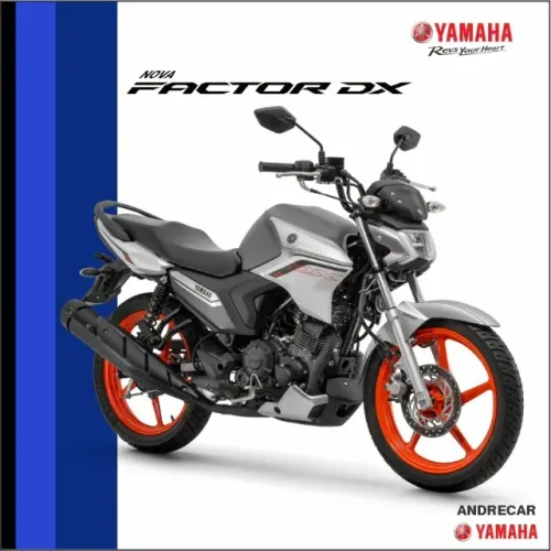 Factor 150 DX
