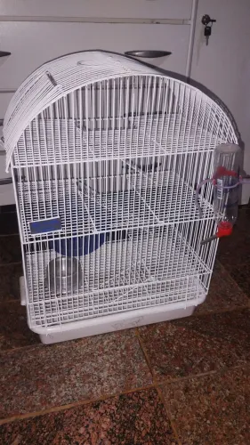 Gaiola de hamster
