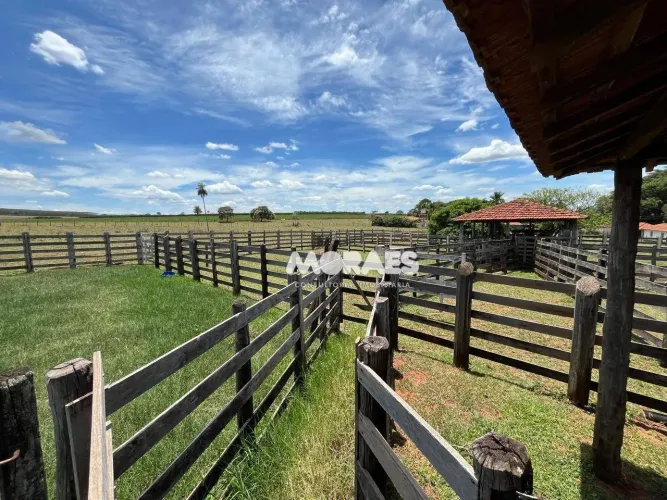 Fazenda à venda, 115 alqueires por R$ 27.000.000 - Jacuba - Arealva/SP