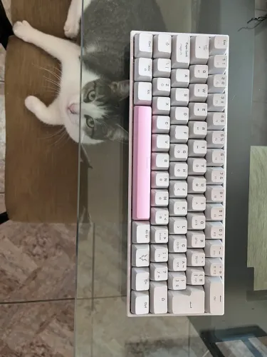 Teclado mecânico Husky