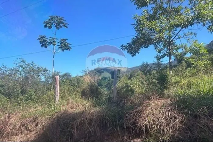 Aproveite ultimas unidades , Chácara em sana , bicuda pequena 1
