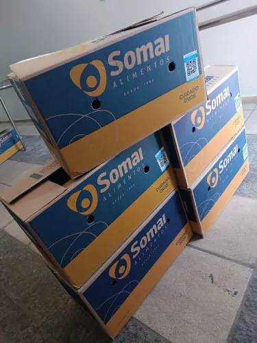 Kit 05 CAIXAS DE PAPELÃO REFORCADAS PARA MUDANCA, ARMAZENAMENTO E TRANSPORTE