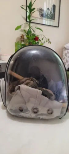 Pet bolsa de transporte cachorro + cabaninha +  roupinhas + copo e guia 