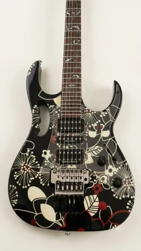 Guitarra Ibanez FP2 Floral.