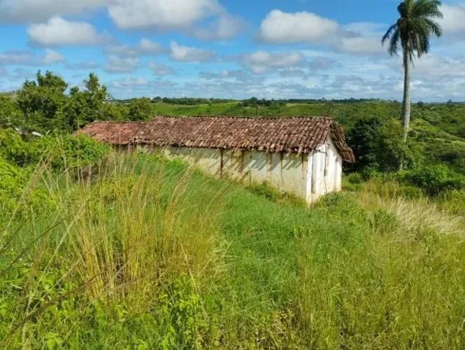 Sitio de 5 hectares na Cidade de Areia-PB COM DOCUMENTAÇÃO COMPLETA