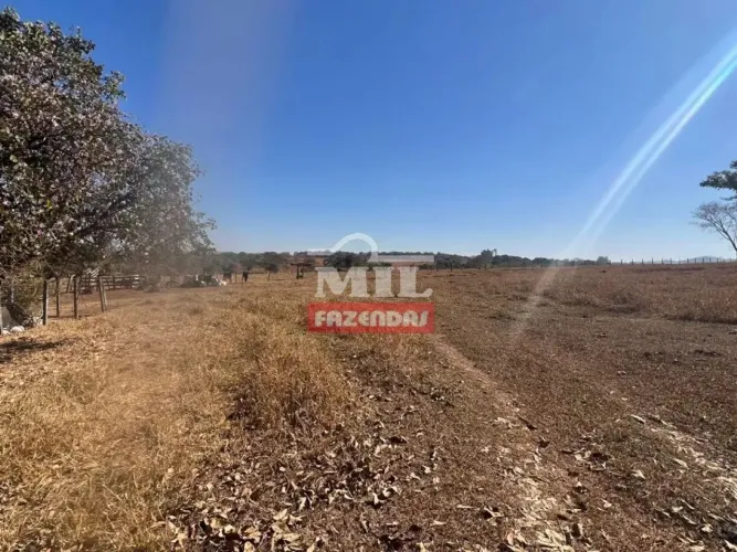 Chácara 6 Alqueires (29,04 Hectares) Caturai - GO