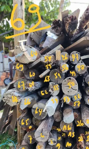 Vendo 69 escoras de madeira usadas para construção