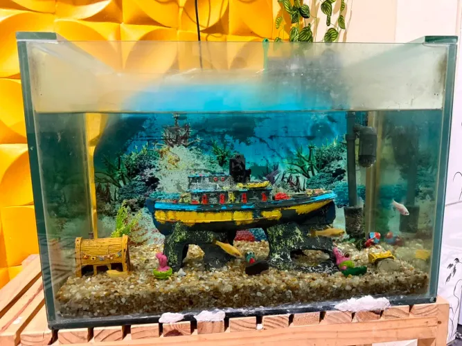 Vendendo um aquário