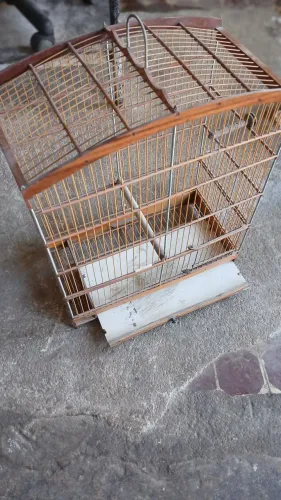 Gaiola média de fibra toda boazinha 