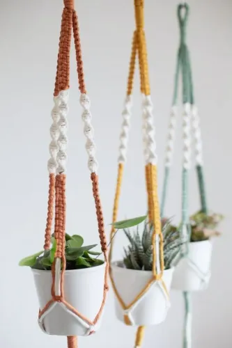 Pendentes para plantas 
