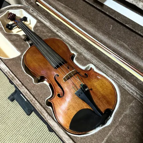 Violino Profissional de Oficina - Ajustado e Regulado