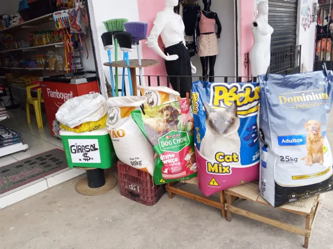 Vendo loja completa de Ração  e Mercearia 