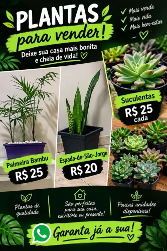 Planta