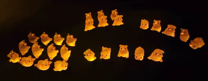 Mini porcos neon