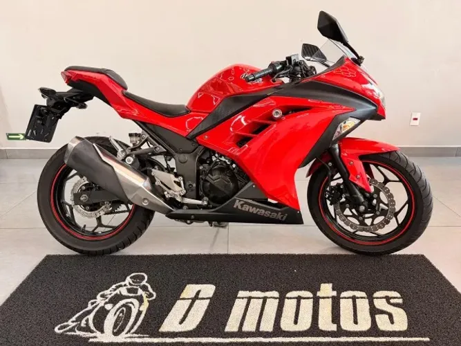 Kawasaki Ninja 300 2014