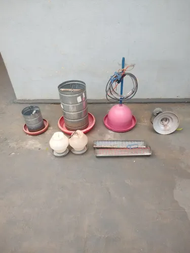 Acessórios para aves