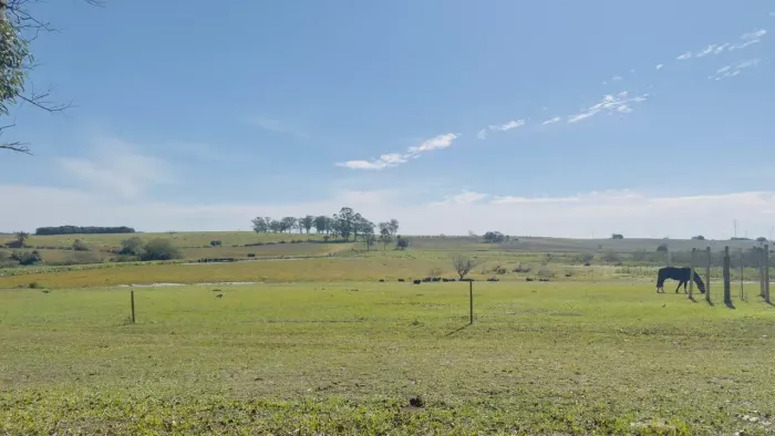 Fazenda em Águas Claras, 98 hectares para plantio ou pecuária, rica em água, 1,5 km do asf