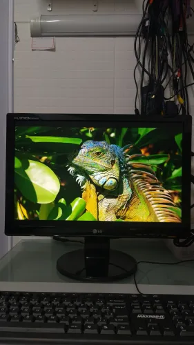 Monitor LG 19 polegadas VGA