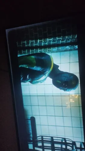 Tv Samsung 43