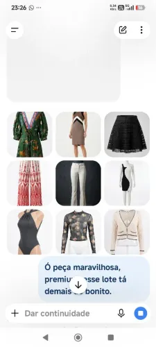 Lote Roupas Femininas Grifes