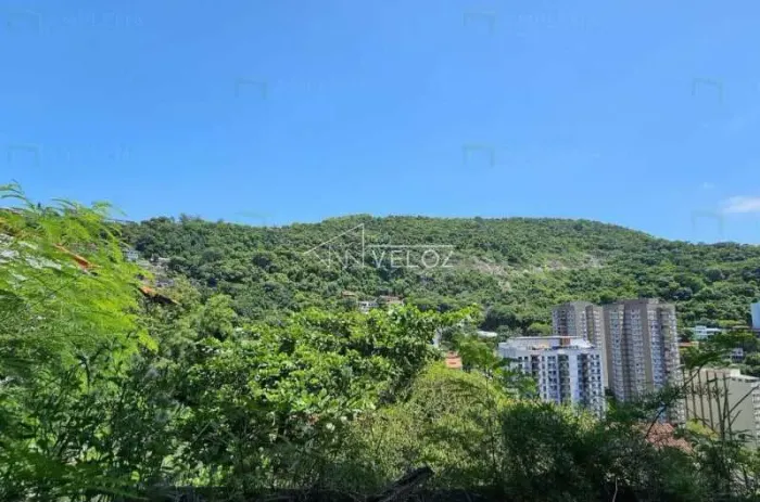 Apartamento : / Residencial / Laranjeiras
