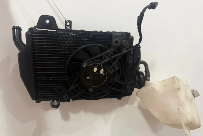 RADIADOR TIGER 900 GT