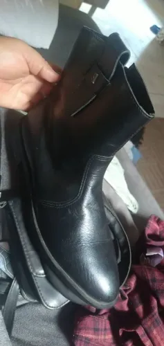 Bota