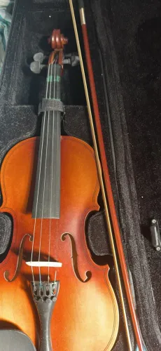 Violino