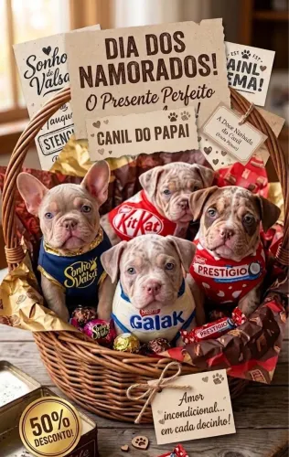 American bully a partir de 1999 na promoção de dia dos namorados!