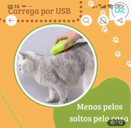 Escova vaporizadora cães e gatos
