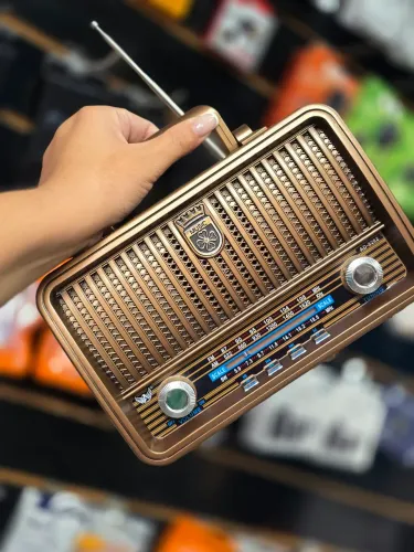 Presente Dia das Mães Rádio FM AM Bluetooth Pen-drive Aux Sd Promoção