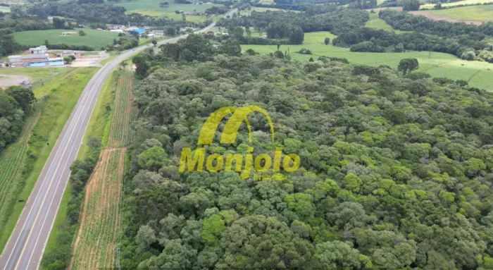 AREA RURAL EM PALMEIRA-PR FRENTE BR 277 ( 12,20 alq )