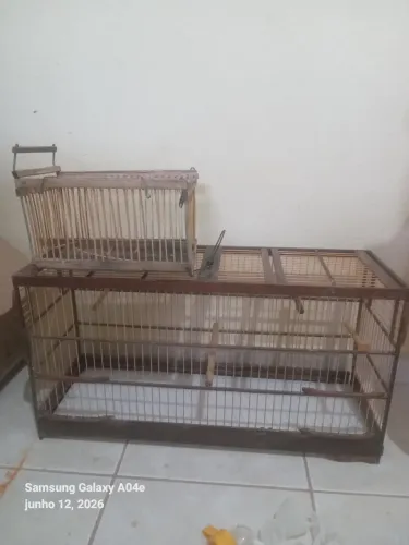 Gaiolas com assapram 60 conto pra vim buscar sao jorge *78 chama no zap