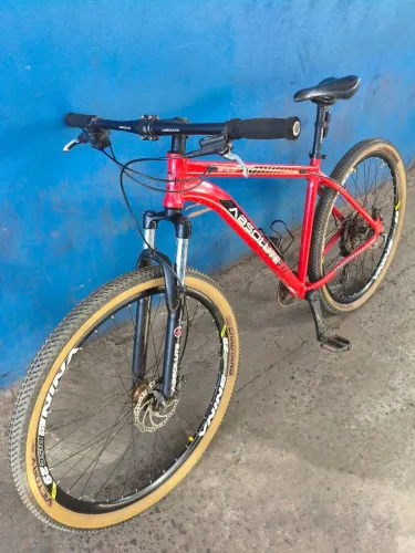 Bike aro 29, quadro 19, freio hidráulico, coroa única, suspenção de trava