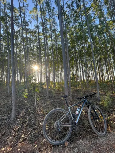 Bicicleta mtb cannondale aro 29 tamanho L