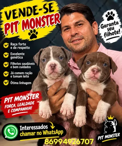 Monster